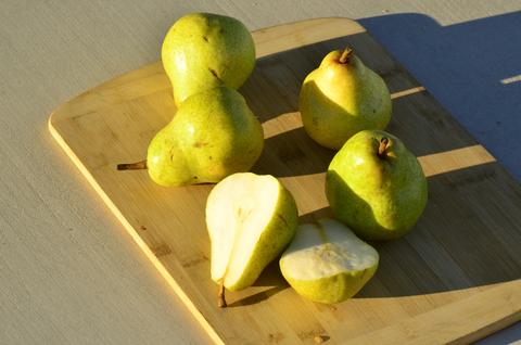 Winter Pears and Butternut Squash