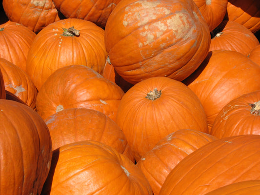 pumpkins- O2 Living blog makers of organic cold-pressed fruit and vegetable Living Juice